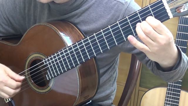 Op.59, No.17 Marcha by M. Carcassi_카르카시 50의 순서적 작품집 제17번 смотреть онлайн