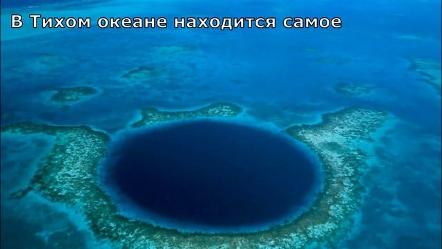 Познавариум. Океаны мира смотреть онлайн