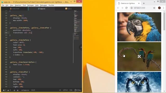 Aprende a crear una galería de imágenes con lightbox | HTML, CSS y JavaScript | #1 смотреть онлайн