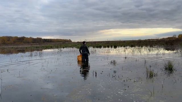 Осенняя охота на водоплавающую. Ищем северную утку. Осень 2022 смотреть онлайн
