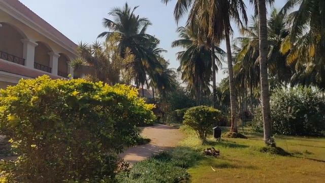 Golden Palms Resort Bangalore | Bangalore Resorts | Resorts in Bangalore | travel vlog смотреть онлайн
