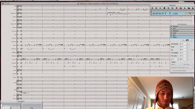 Four Sibelius 6 Tips смотреть онлайн