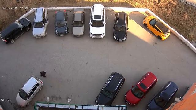 Дистанционное управление автомобилем смотреть онлайн