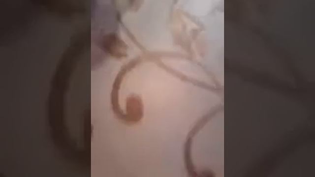 Как сделать лезунь из шампуня и муки и фери и концилярский клей смотреть онлайн