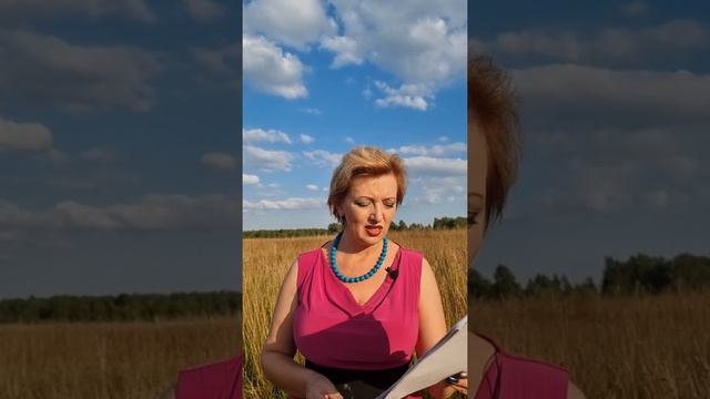 Отменили ПЗЗ - правила землепользования и застройки. Как быть? Ответ здесь! смотреть онлайн