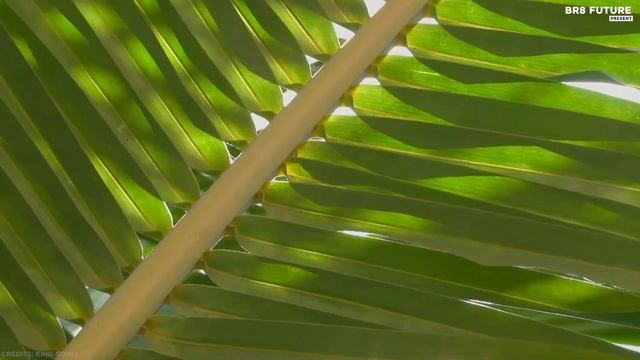 Best Cameras 2022 - Top 5 Best Compact Cameras