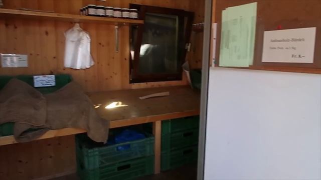 Семейный влог| Живём с родителями и дочкой смотреть онлайн