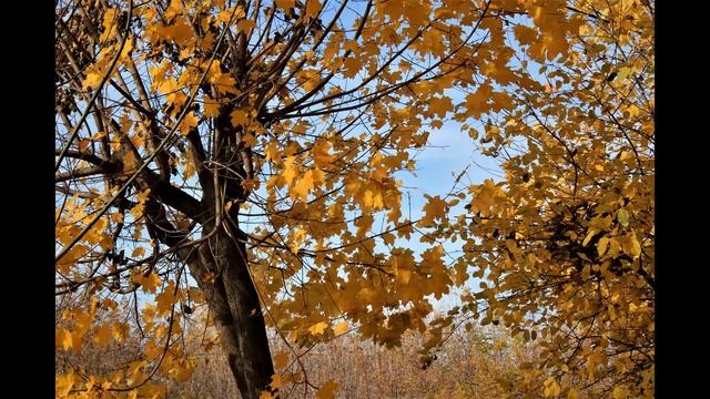 Осенний вальс смотреть онлайн