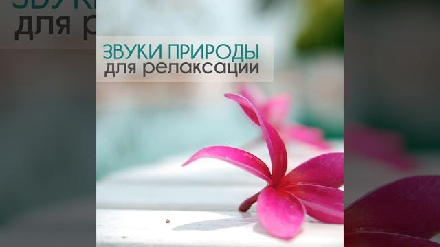 Музыкотерапия