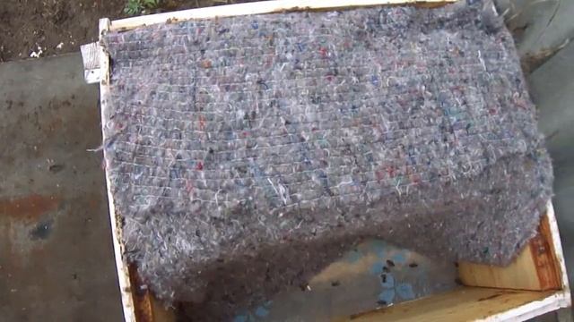 Объединение активных пчелосемей  осенью без драк. Маленькие хитрости. Часть 1.