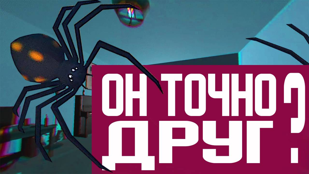 My Friend The Spider | обнаружен ОГРОМНЫЙ паук / ЧТО мне с ним делать ?