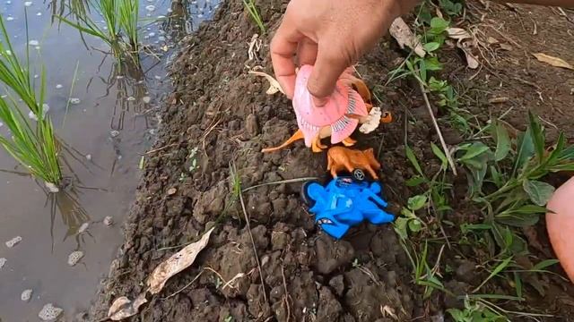 Fishing Traps Koi Fish, Catfish, Betta Fish, Toys Fish, Whale Fish, Excavator and Truck in Ricefiel смотреть онлайн