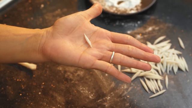 Choshi'r payesh—Bengali pitha recipe—tiny, handmade rice-flour dumplings смотреть онлайн
