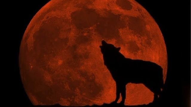 "Кровавая Луна" почему спутник Земли приобретает красный оттенок. смотреть онлайн