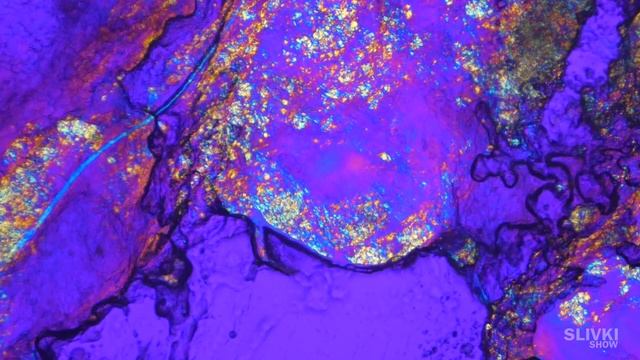 САМЫЙ КРАСИВЫЙ УГОРЬ ПОД МИКРОСКОПОМ! смотреть онлайн