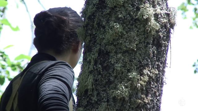 3 DAYS BUSHCRAFT OVERNIGHT – RUSSIAN CANVAS TENT, COOKING, ARROW MAKING, Etc [Full Documentary]