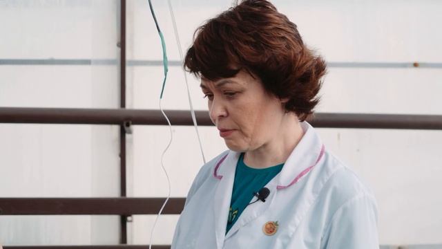 Как посеять и вырастить пекинскую и китайскую капусту? смотреть онлайн