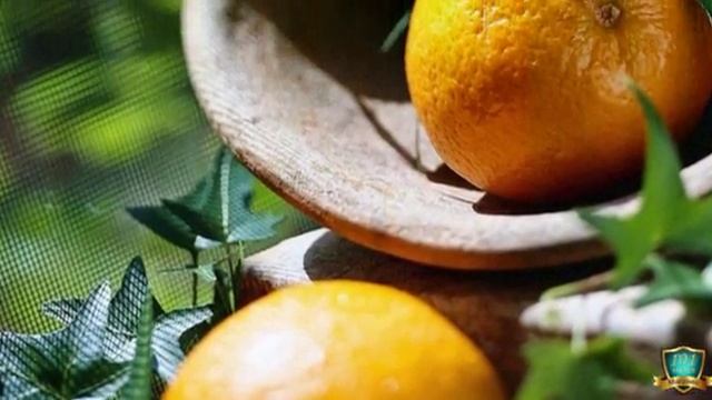 Эфирное масло апельсина ☯[Валерий Петухов] смотреть онлайн