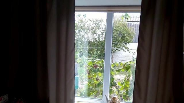 Жизнь на Даче. О Новых шторах и Старых стульях. Старые стулья на новый лад. смотреть онлайн