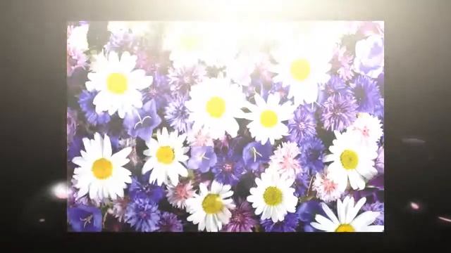 "Я рисую" композитор и исполнитель В БЕКК, слова Г Ярлыгина видео 2 смотреть онлайн