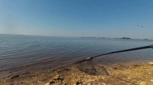 Сазан на реке Кама. Рыбалка в Татарстане.