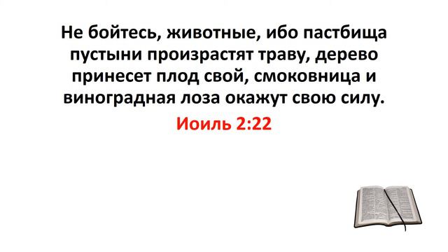 Библия, Ветхий Завет. Иоиль 2:22 смотреть онлайн