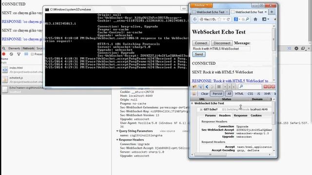 Websocket-sharp in net.2.0 смотреть онлайн