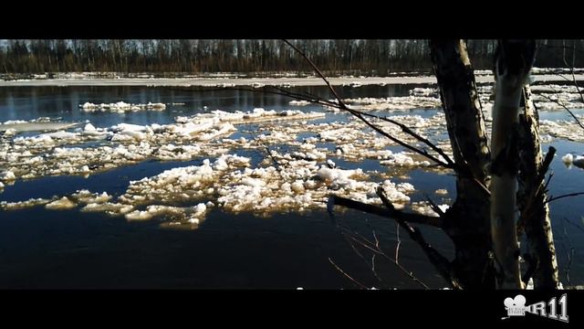 на ЯМАЛ пришла весна 18.05.16 смотреть онлайн