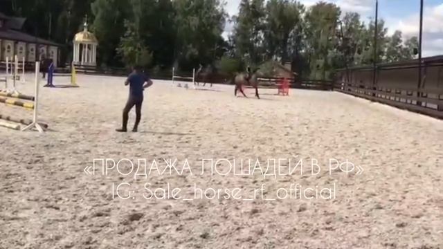 RU103 НОВОЕ ВИДЕО смотреть онлайн