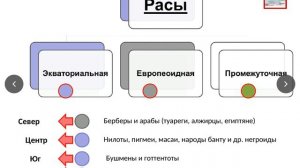 Обобщение по теме "Африка" 11 класс