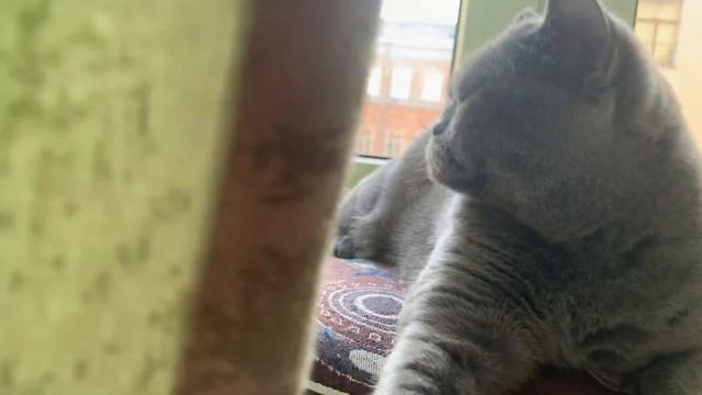 Ну и где ты была весь день? смотреть онлайн