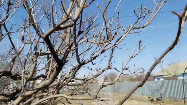 ПРИШЛА ПОРА - ЗАСУЧИ РУКАВА! смотреть онлайн