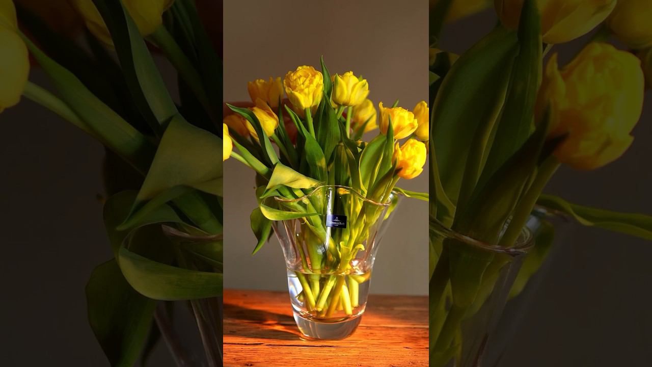 Вазы Blossom от Villeroy & Boch для Ваших весенних цветов #ваза смотреть онлайн
