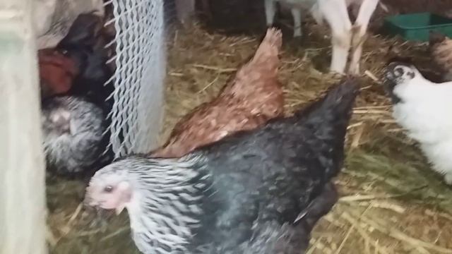 СтройСоветы