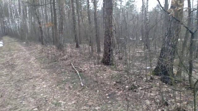 Работа русской гончей смотреть онлайн