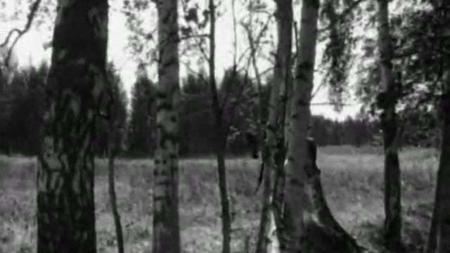 joe1.divx смотреть онлайн