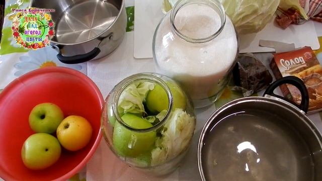 Моченые яблоки с капустой и солодом в банках по рецепту дедушки Петра смотреть онлайн