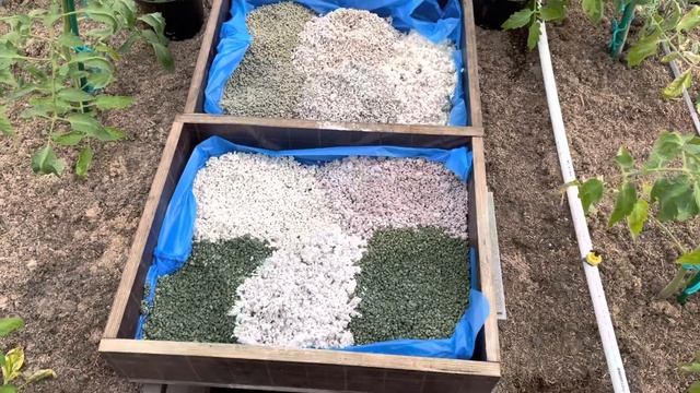 Грибная мозаика смотреть онлайн