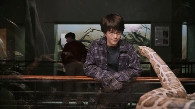 Гарри Поттер и вялый питон | Самая угарная озвучка смотреть онлайн
