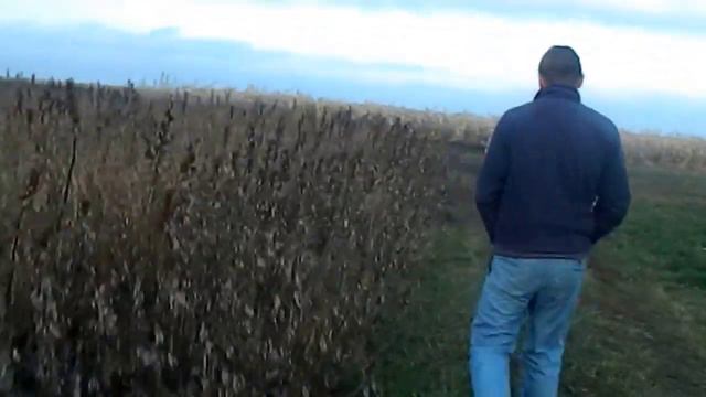 Еду заплатить за аренду ,и ищем поле сестре... смотреть онлайн