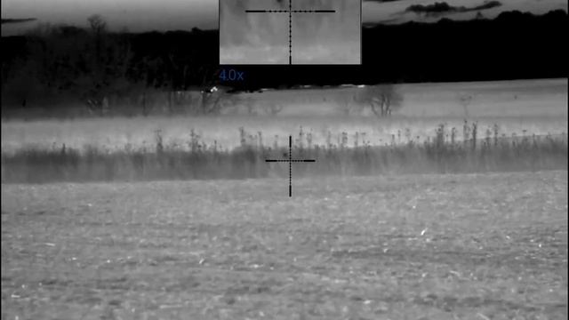 Coyote Hunt Pulsar Trail 2 Lrf Xp50