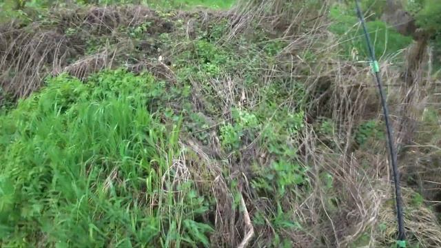 ЛОВЛЯ ГОЛАВЛЯ НА ЗАБРОШЕННОЙ МИКРОРЕЧКЕ ! РЫБОЛОВНОЕ ПУТЕШЕСТВИЕ ПО МИКРОРЕЧКЕ! смотреть онлайн