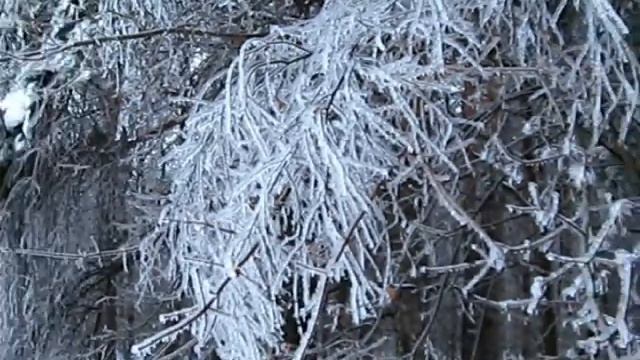 ПОСЛЕДСТВИЯ ЛЕДЯНОГО ДОЖДЯ. ДЕКАБРЬ 2010 ГОДА. смотреть онлайн