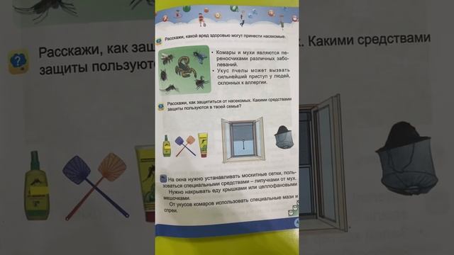 Основы безопасного поведения смотреть онлайн