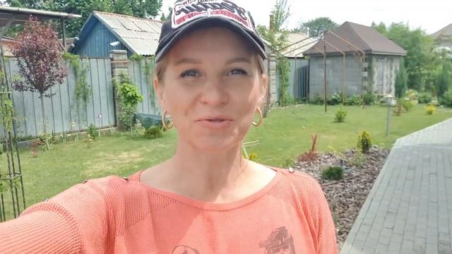 Поездка в питомник, покупка и посадка роз смотреть онлайн
