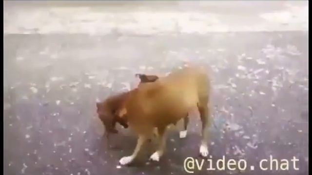 В любви размер не имеет значения смотреть онлайн