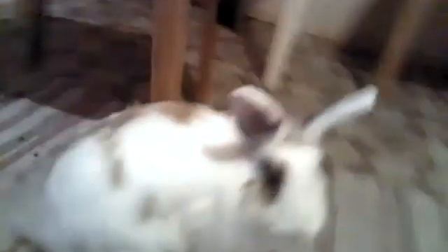 Как гладить шторы? Полная версия! смотреть онлайн