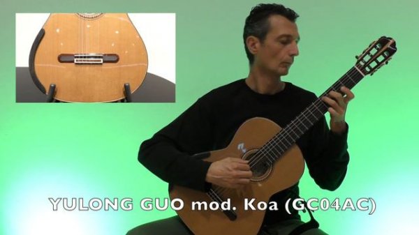 Aiersi Brand Yulong Guo Double Top Nomex Koa Classical Guitar