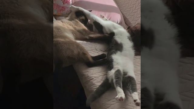 Отправь это своей второй половинке ❤️