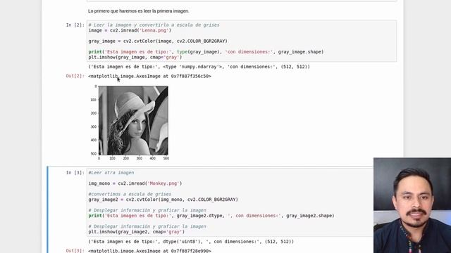 Operaciones básicas con imágenes en Python y Open CV - VC Programa 02 смотреть онлайн
